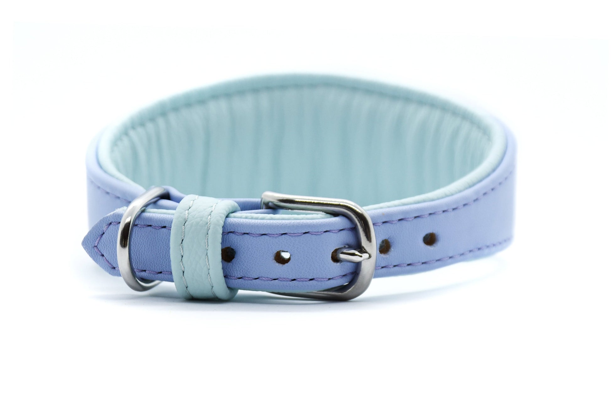 Edles Hundehalsband für Windhunde – 5 cm breit, gepolstert