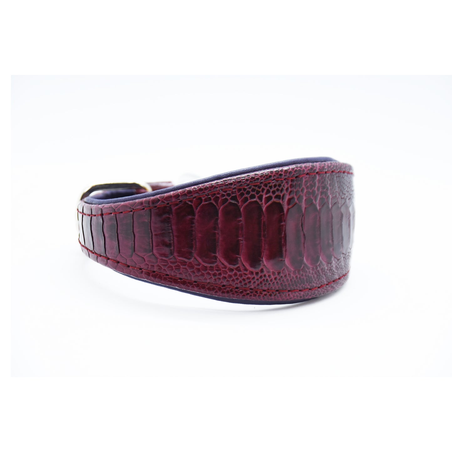 Design-Hundehalsband aus echtem Straußenbeinleder, stilvoll arrangiert auf neutralem Hintergrund.