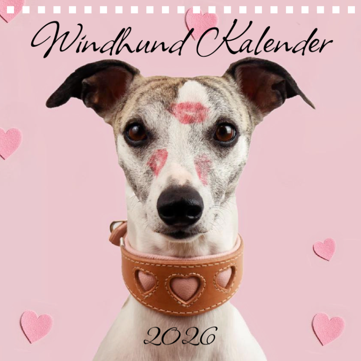 Windhund Kalender