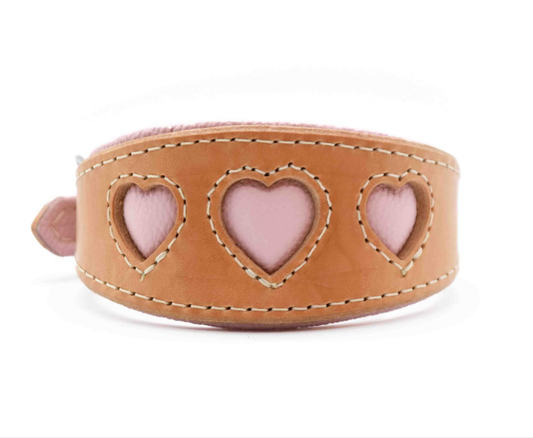 I WOOF YOU ♥ Gepolstertes Windhundhalsband aus Geschirrleder