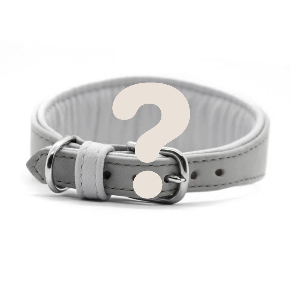 Überraschungs-Halsband für Windhunde aus Bio-Nappaleder, handgefertigt und farblich abgestimmt auf Fellfarbe und Geschlecht des Hundes