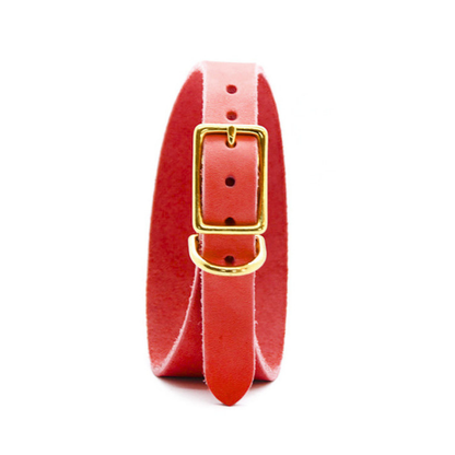 Individuell konfigurierbares Fettleder Windhundhalsband