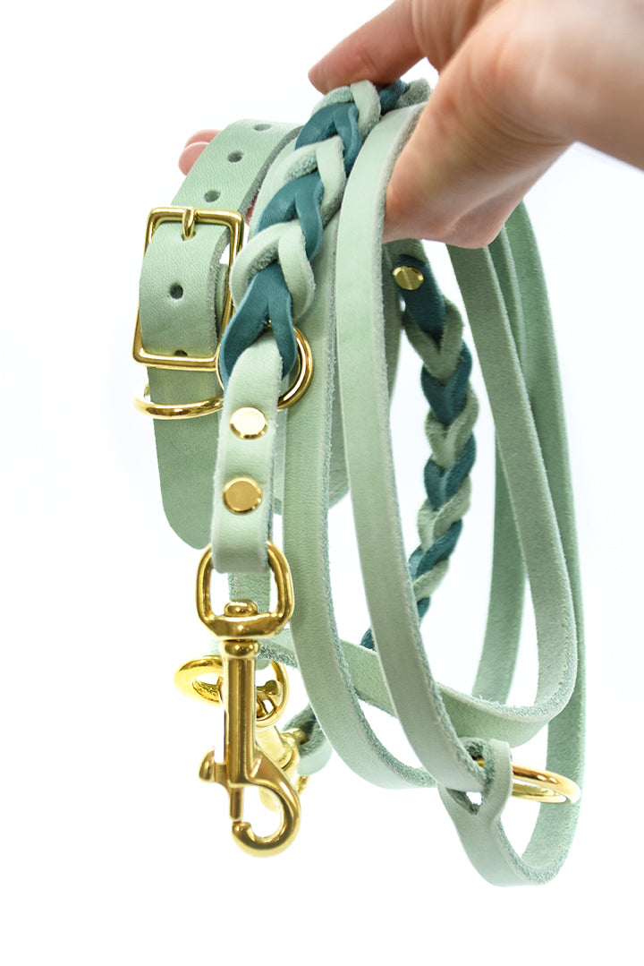 Set FETTLEDER • Breites Windhundhalsband und geflochtene Leine