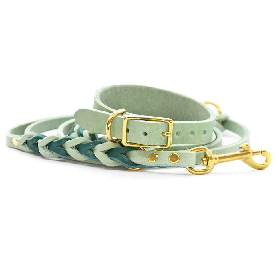 Set FETTLEDER • Breites Windhundhalsband und geflochtene Leine