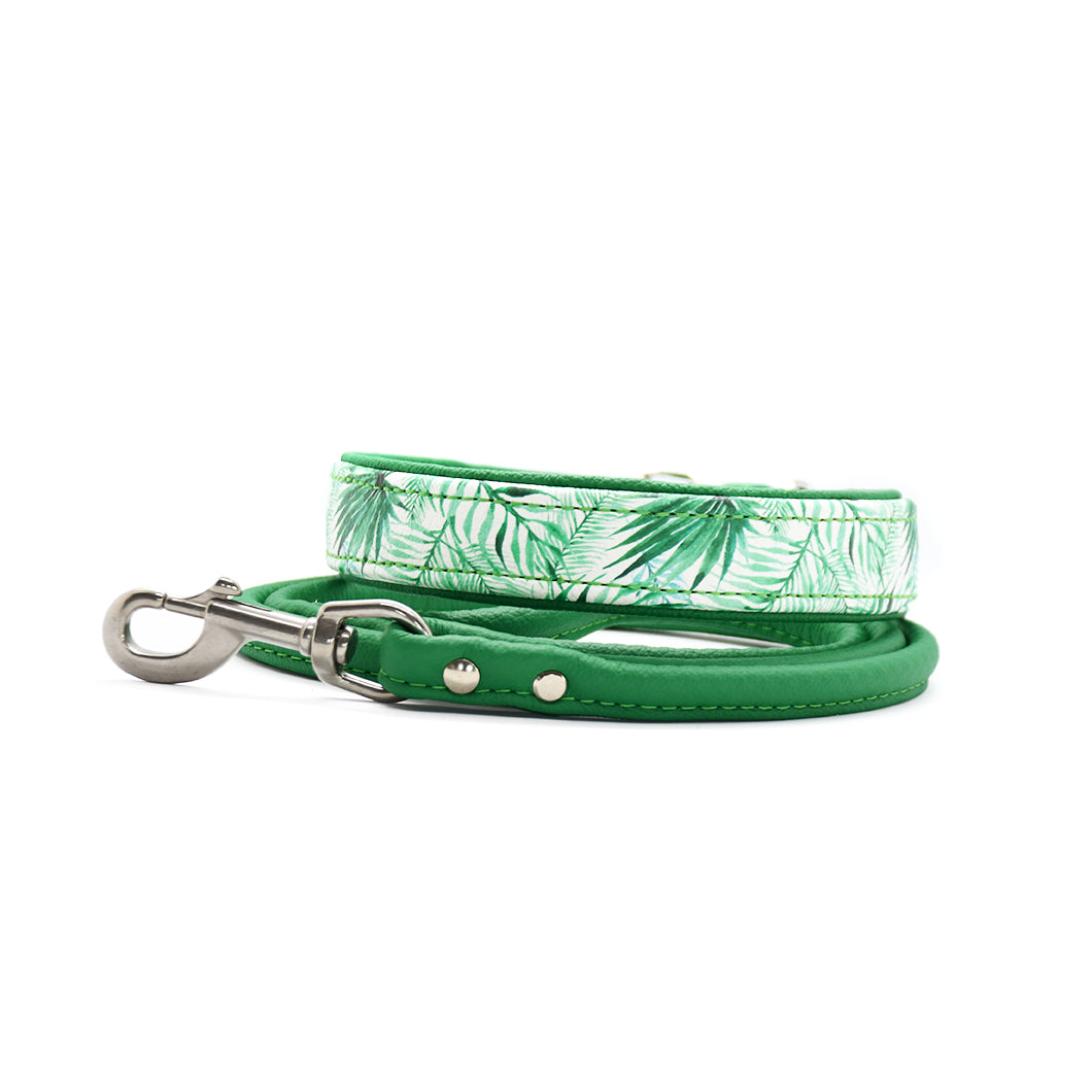 JUNGLE Hundehalsband schmal・Sommerliches Design