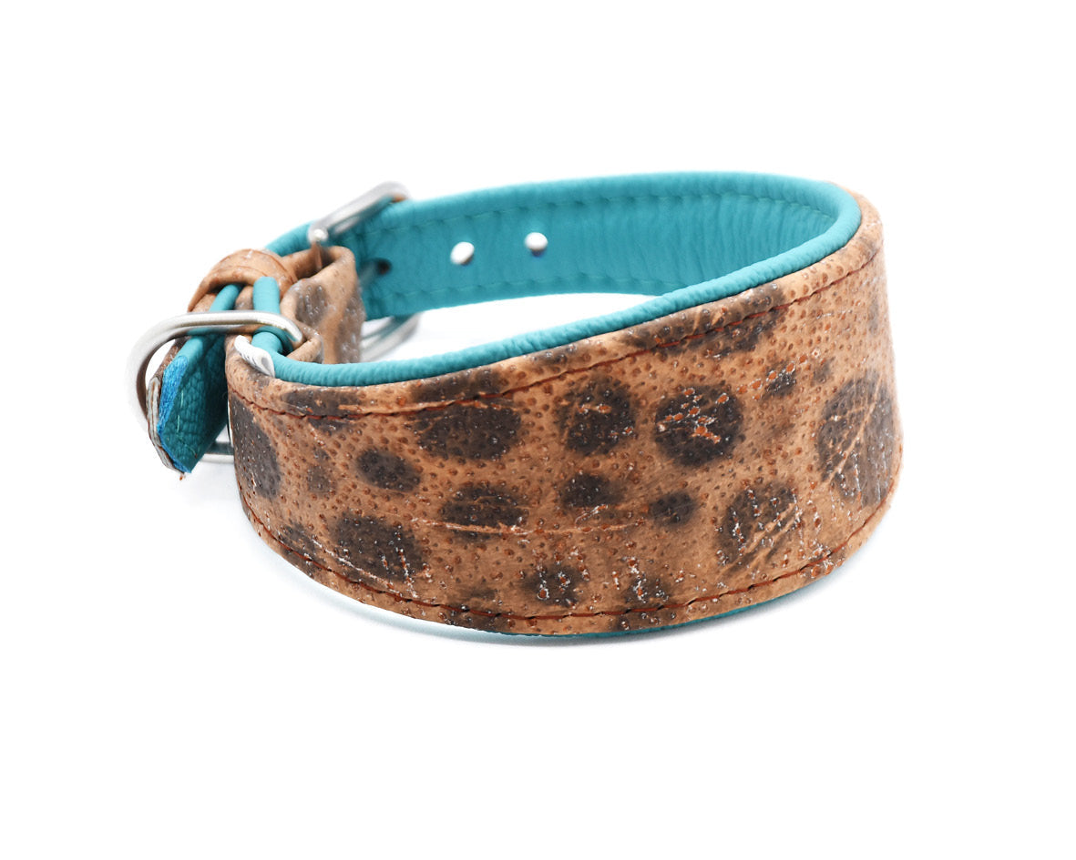 STEINBEIßER Halsband・Einzigartiges Fischleder-Halsband für Windhunde