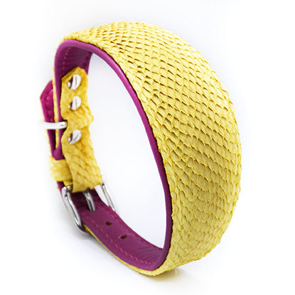 LACHSLEDER Halsband・Einzigartiges Windhundhalsband aus Fischleder