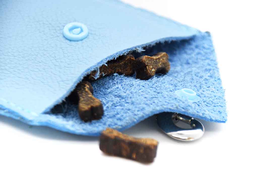 Gassisackerlbeutel / Leckerlibeutel aus Nappaleder-Hundezubehör für unterwegs