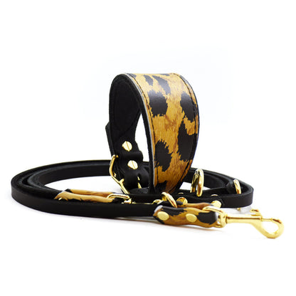 Windhundhalsband und Leine aus strapazierfähigem Fettleder mit stylischem Leomuster