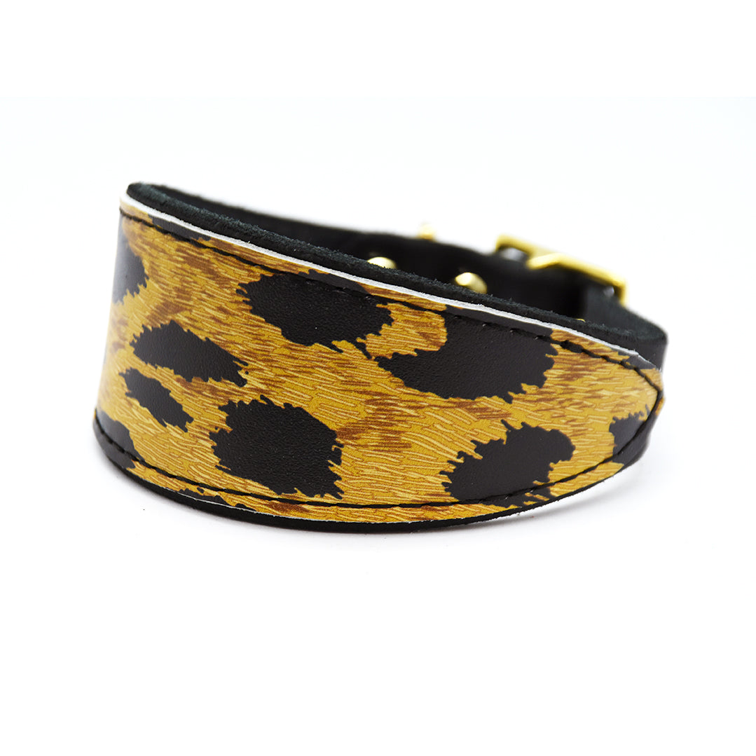 Nahaufnahme Lederstruktur und Leomusterbesatz auf schwarzem Fettlederhalsband