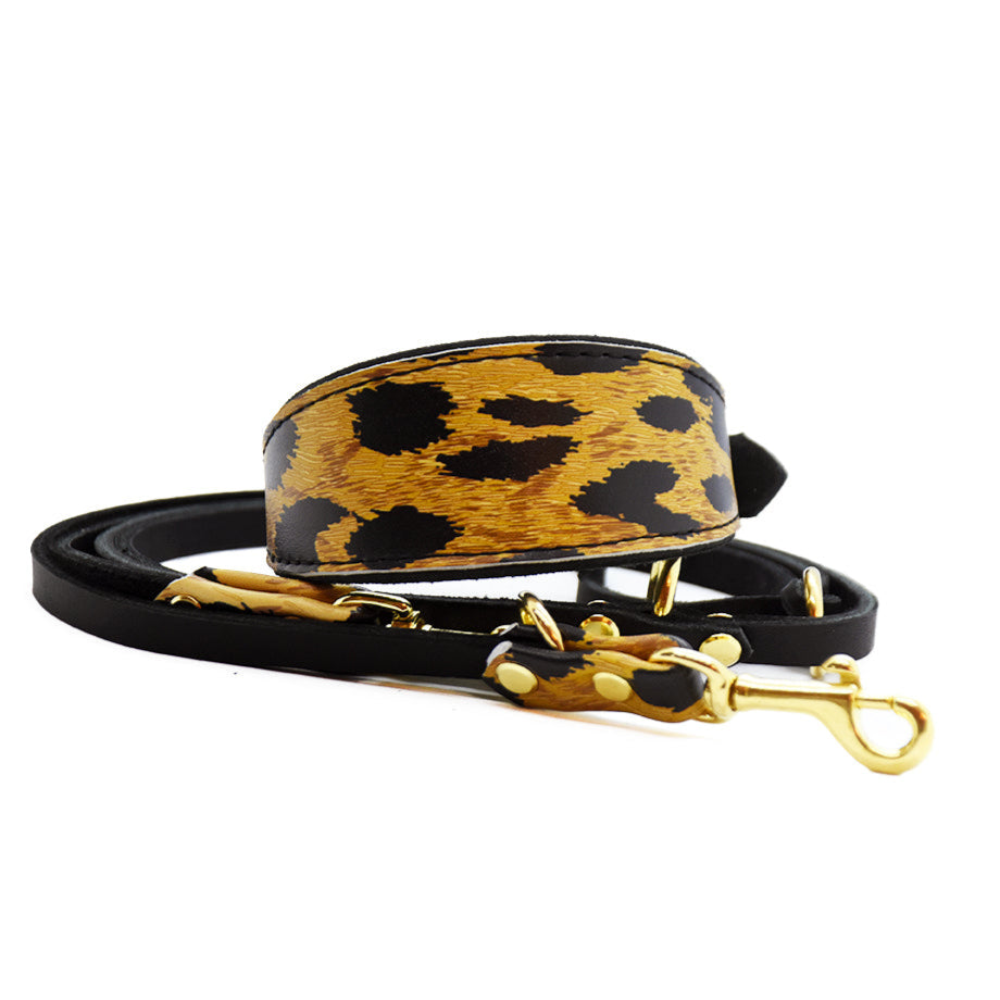 Fettlederset Windhund Halsband und Leine mit Leoprint