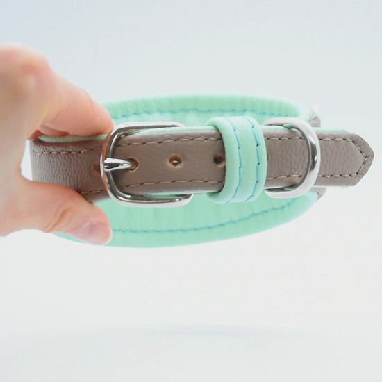 Breites Bioleder-Halsband für Whippet, Greyhound oder Galgo