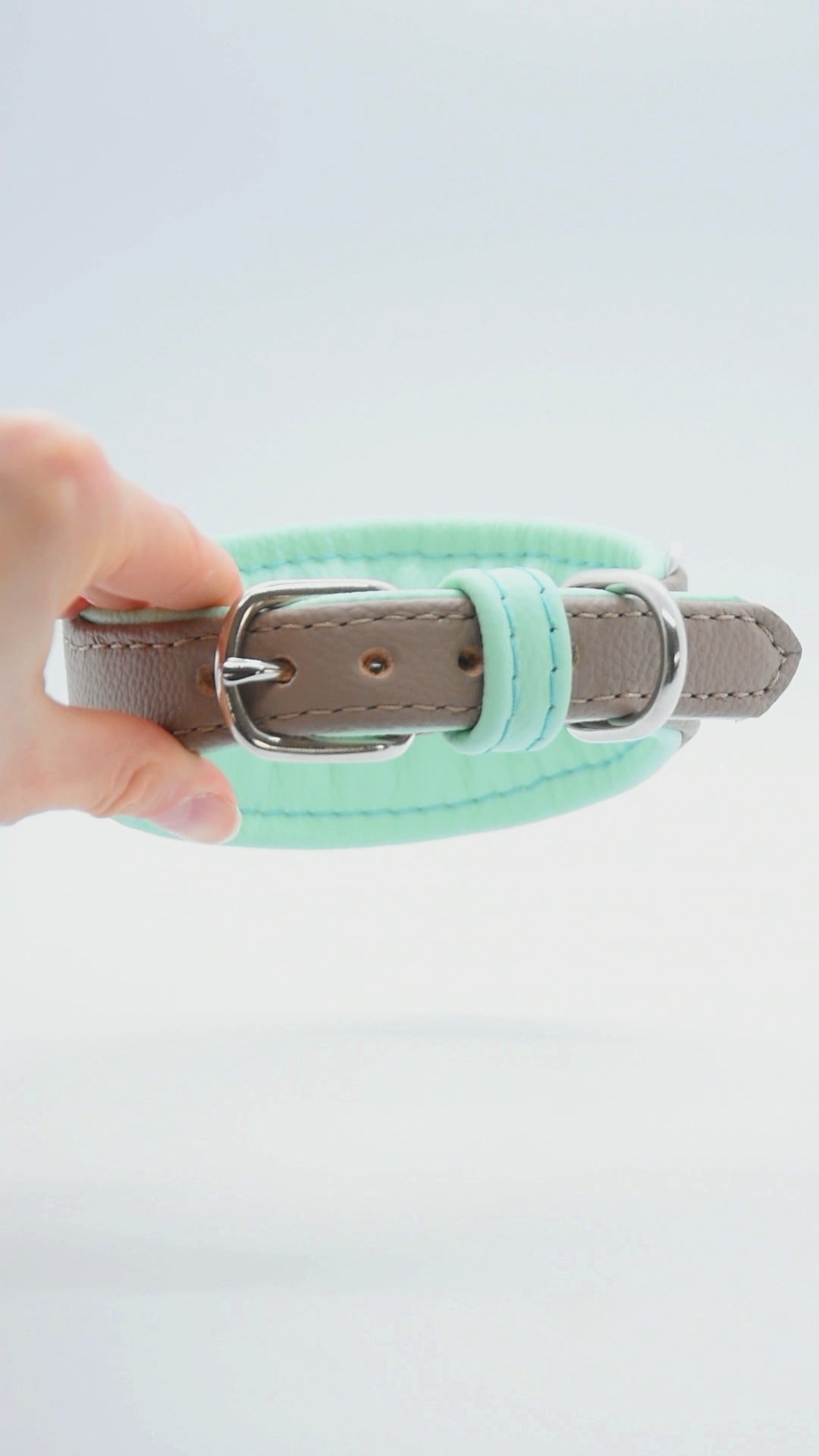 Breites Bioleder-Halsband für Whippet, Greyhound oder Galgo