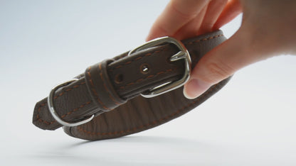 ZEBRAFELL Halsband・exotisches Windhundhalsband aus Zebrafell und Nappaleder