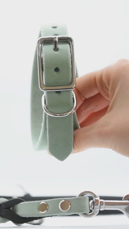 Set FETTLEDER • Breites Windhundhalsband und geflochtene Leine