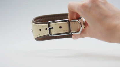 Halsband HAZEL mit Borte • Windhund • gepolstertes Lederhalsband