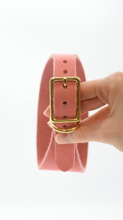 FETTLEDER Windhundhalsband-Maßgefertigt & robust