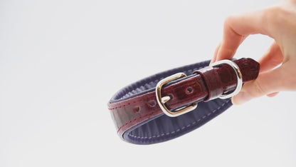 Elegantes Lederhalsband mit markanter Prägung – gefertigt aus echtem Straußenbeinleder in Handarbeit.