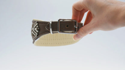 Halsband AZTEC • Leichtes Nappaleder Halsband mit edler Borte für Windhunde