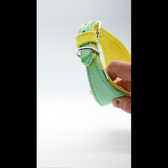 Windhundzubehör aus Naturmaterial – Lederhalsband nach Maß