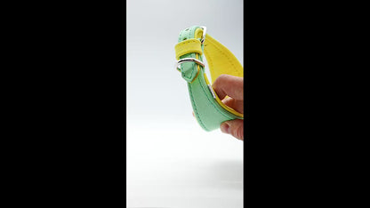 Windhundzubehör aus Naturmaterial – Lederhalsband nach Maß