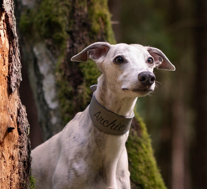 CLASSIC NAME | Windhundhalsband aus Fettleder mit Namensgravur
