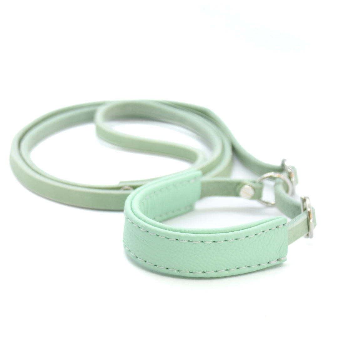 Showleine mit Kehlkopfschutz • Ausstellungsleine für Hundeshows