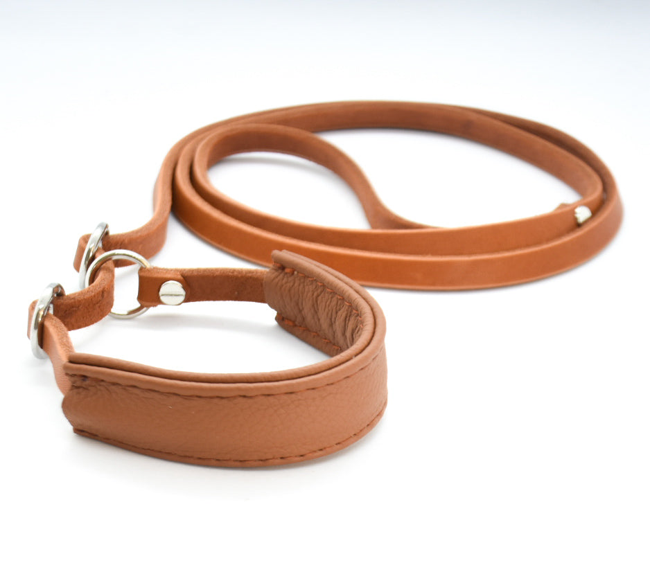 Showleine mit Kehlkopfschutz • Ausstellungsleine für Hundeshows