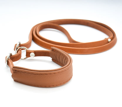 Showleine mit Kehlkopfschutz • Ausstellungsleine für Hundeshows