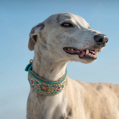 SARI FLORA | Gepolstertes Windhundhalsband aus Leder mit edler Sari Borte