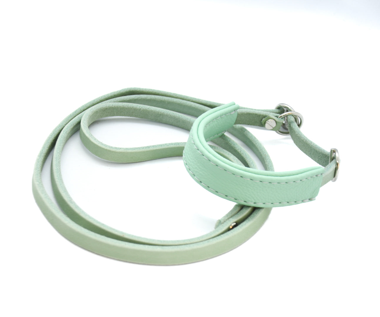 Showleine mit Kehlkopfschutz • Ausstellungsleine für Hundeshows