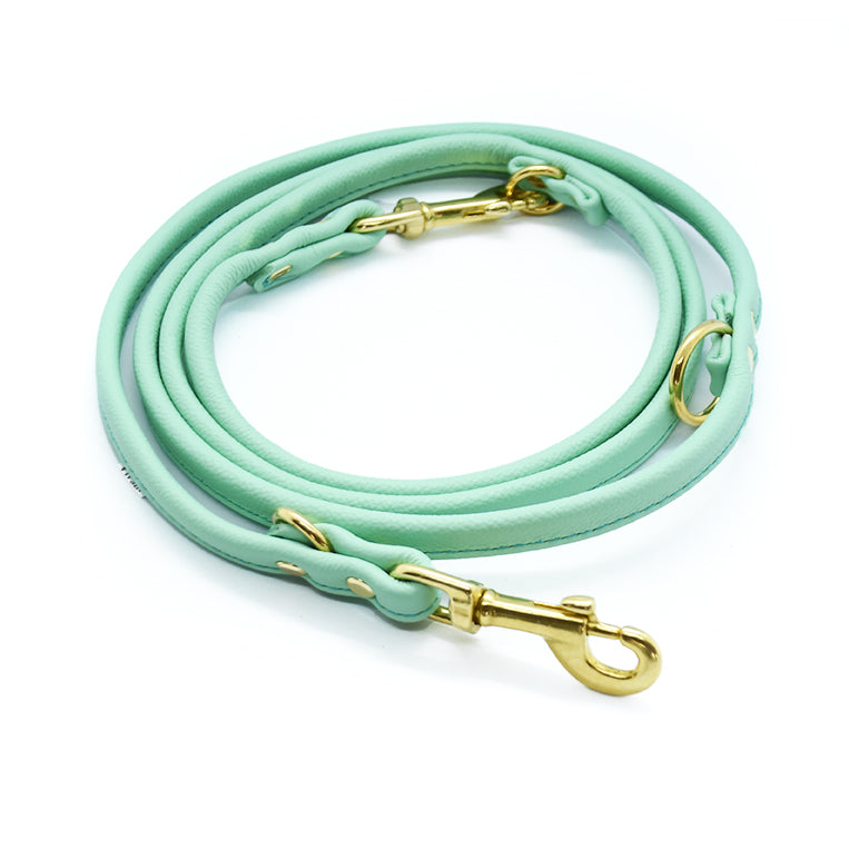 Minimalistische Hundeleine aus rundgenähtem Leder in der Farbe Mint – edel, leicht und funktional