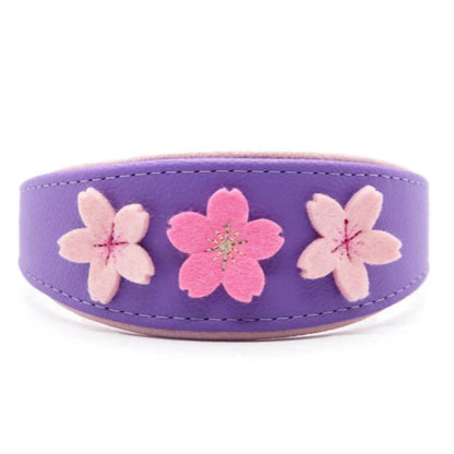SAKURA Windhundhalsband aus Leder ❀ Gepolstertes Halsband mit Filzblüten