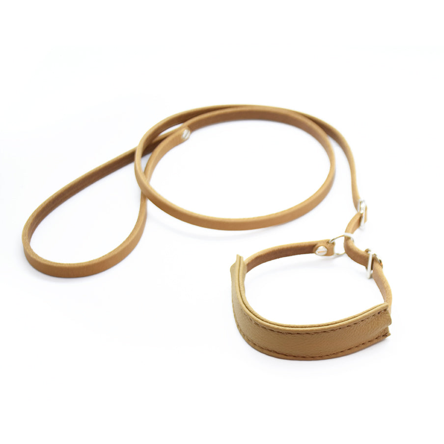 Showleine mit Kehlkopfschutz • Ausstellungsleine für Hundeshows