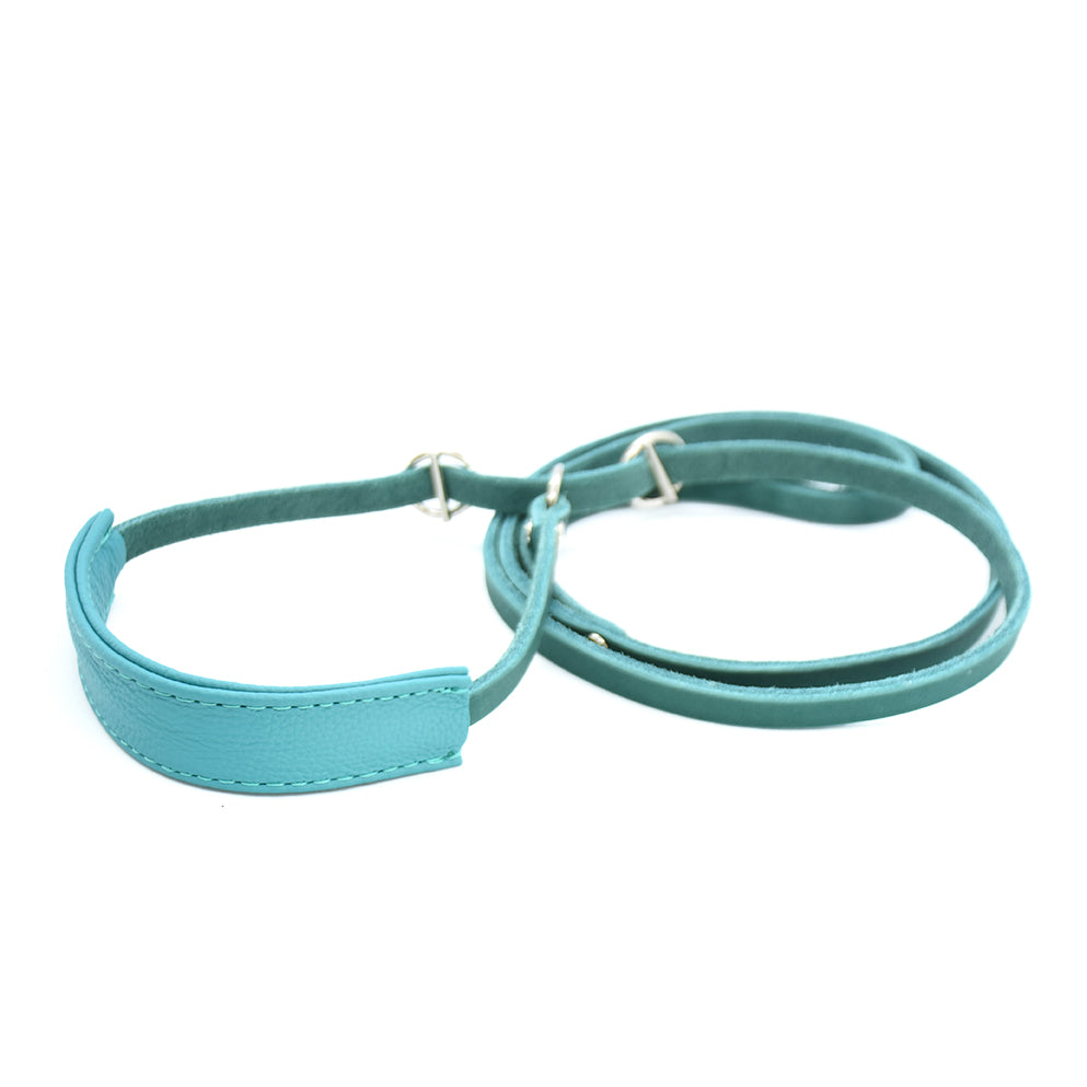 Showleine mit Kehlkopfschutz • Ausstellungsleine für Hundeshows