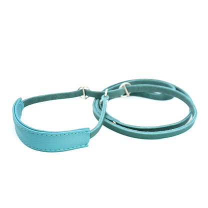 Showleine mit Kehlkopfschutz • Ausstellungsleine für Hundeshows