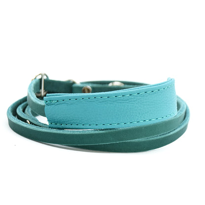 Showleine mit Kehlkopfschutz • Ausstellungsleine für Hundeshows