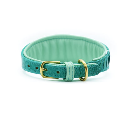 Premium-Hundehalsband aus strukturiertem Straußenbeinleder mit Messing Schnalle