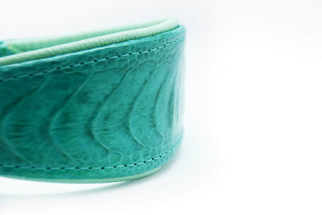 Detailaufnahme eines Hundehalsbands aus exotischem Straußenbeinleder mit eleganter Maserung und goldfarbener Schnalle.