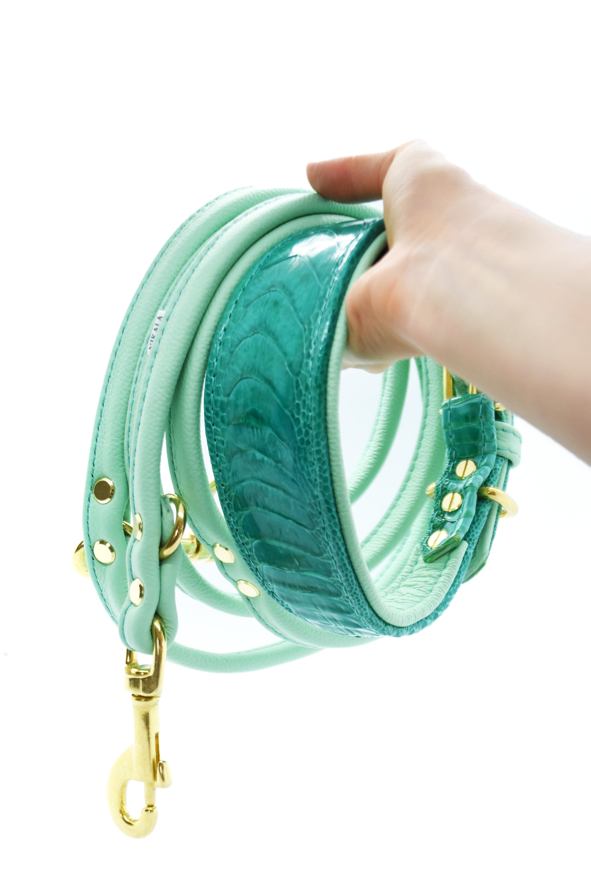 Luxuriöses Hundehalsband aus strukturiertem Straußenbeinleder in türkis mit Lederleine – Premiumqualität für stilbewusste Hundehalter:innen.