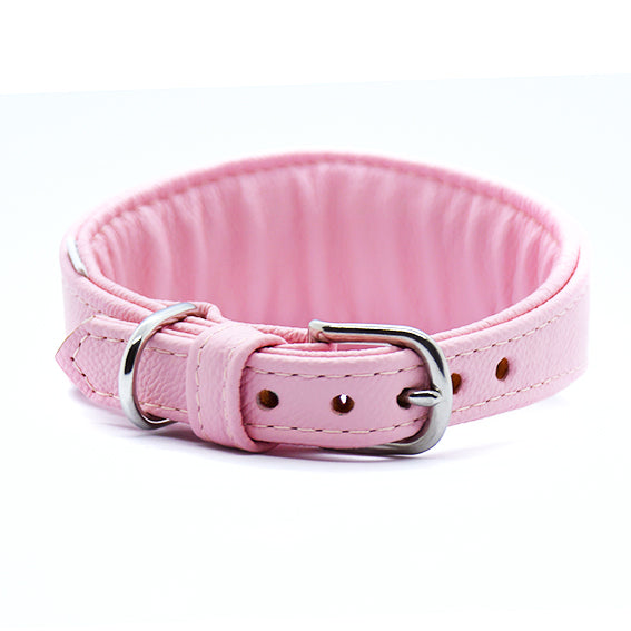 Nachhaltiges Windhundhalsband aus Bioleder mit Glamour-Finish