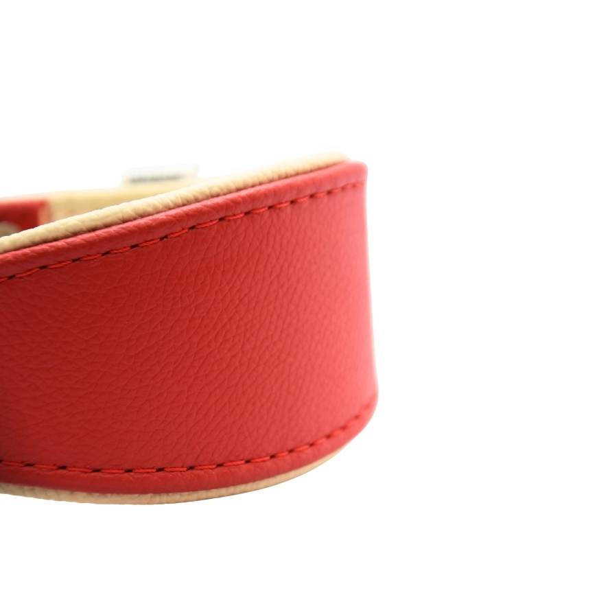 Gepolstertes Lederhalsband für Windhunde in Maßanfertigung