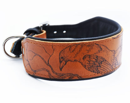 BRANDING Hundehalsband • Handgezeichnet und individuell